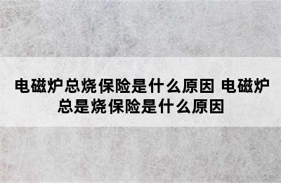 电磁炉总烧保险是什么原因 电磁炉总是烧保险是什么原因